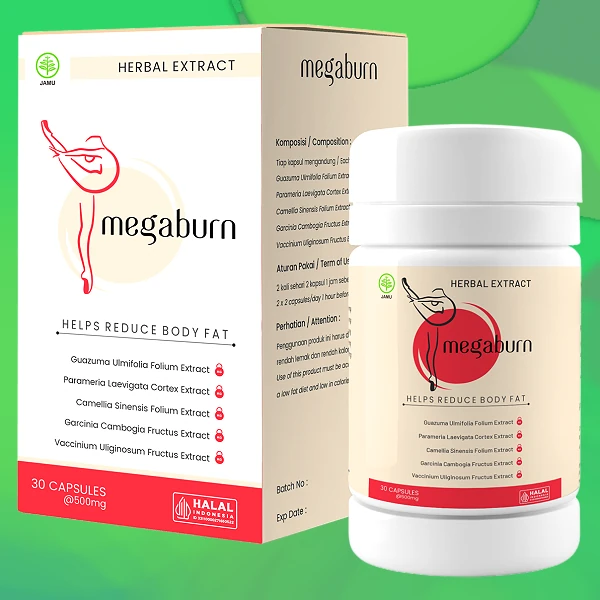 Megaburn